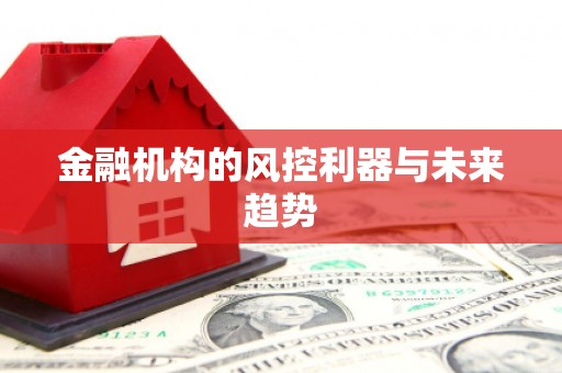 德江金融机构的风控利器与未来趋势