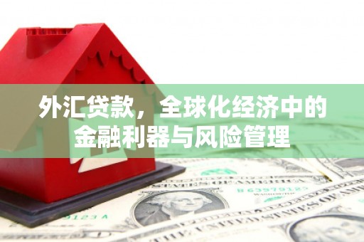 德江外汇贷款，全球化经济中的金融利器与风险管理
