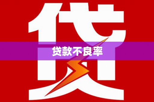 德江贷款不良率