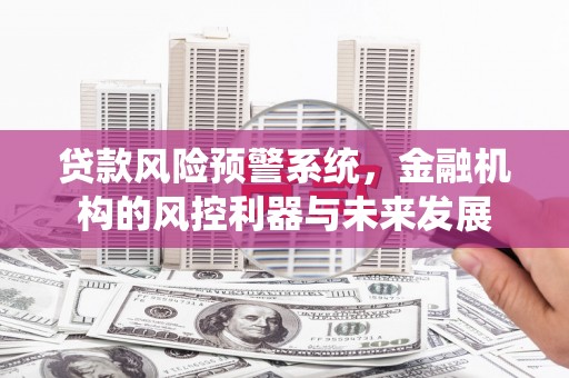 德江贷款风险预警系统，金融机构的风控利器与未来发展