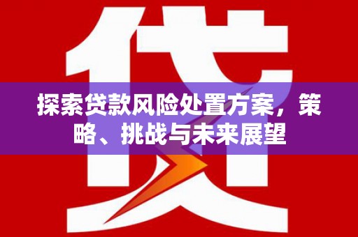 德江探索贷款风险处置方案，策略、挑战与未来展望