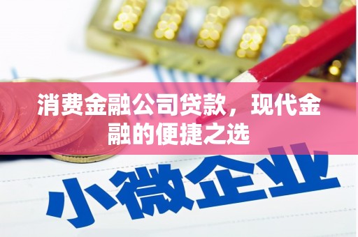 德江消费金融公司贷款，现代金融的便捷之选