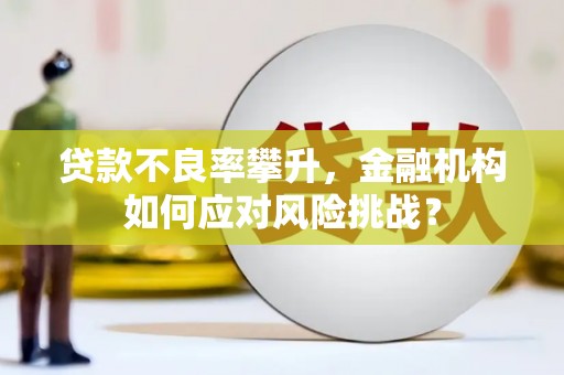 德江贷款不良率攀升，金融机构如何应对风险挑战？