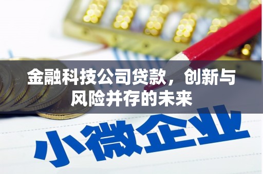 德江金融科技公司贷款，创新与风险并存的未来