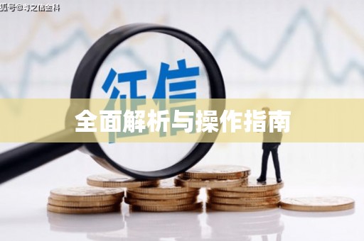 德江全面解析与操作指南