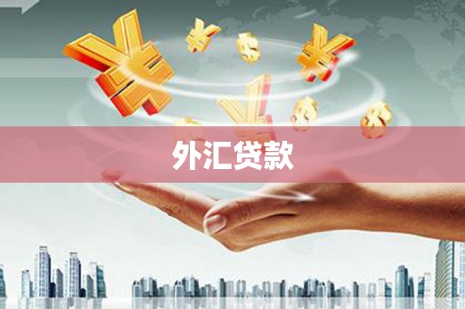 德江外汇贷款