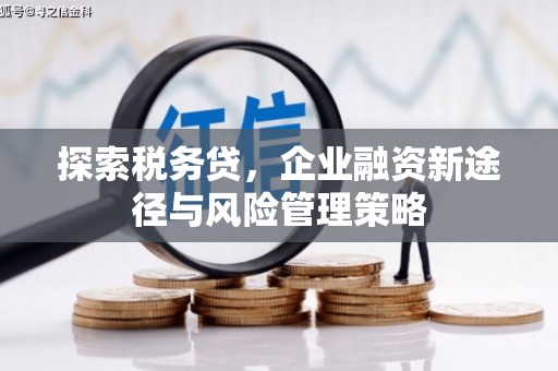 德江探索税务贷，企业融资新途径与风险管理策略