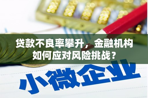 德江贷款不良率攀升，金融机构如何应对风险挑战？