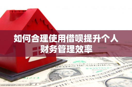 德江如何合理使用借呗提升个人财务管理效率