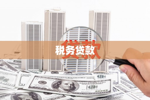德江税务贷款
