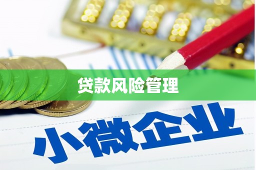 德江贷款风险管理