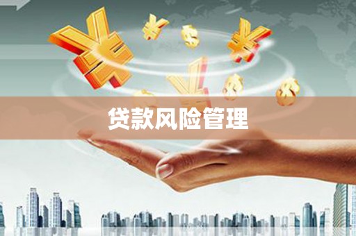 德江贷款风险管理