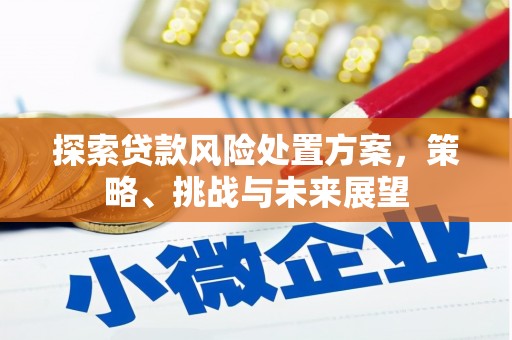 德江探索贷款风险处置方案，策略、挑战与未来展望