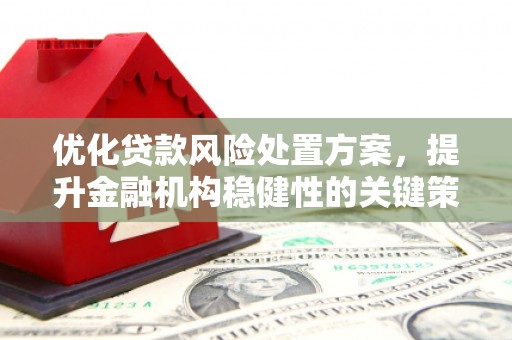 德江优化贷款风险处置方案，提升金融机构稳健性的关键策略