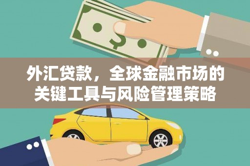 德江外汇贷款，全球金融市场的关键工具与风险管理策略