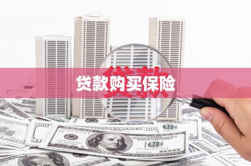 德江贷款购买保险