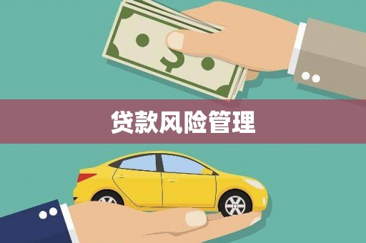 德江贷款风险管理