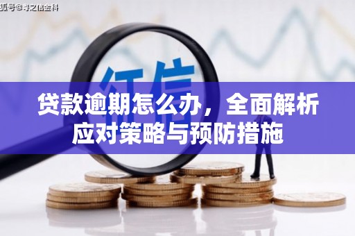 德江贷款逾期怎么办，全面解析应对策略与预防措施