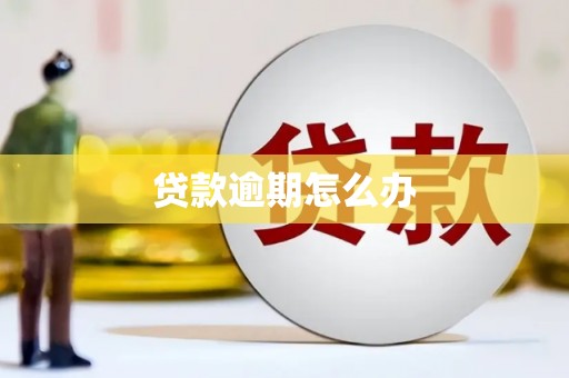 德江贷款逾期怎么办