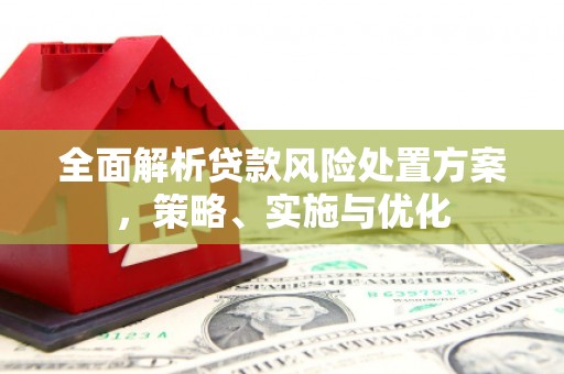德江全面解析贷款风险处置方案，策略、实施与优化