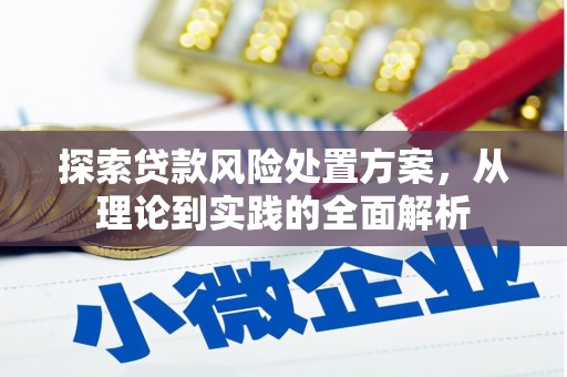 德江探索贷款风险处置方案，从理论到实践的全面解析