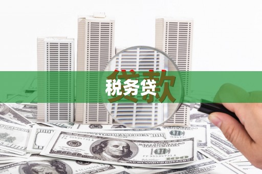 德江税务贷