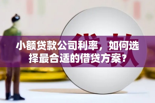 德江小额贷款公司利率，如何选择最合适的借贷方案？