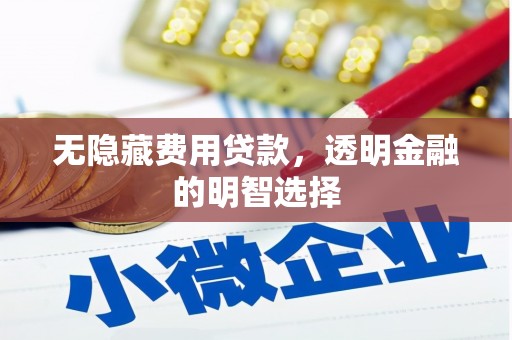 德江无隐藏费用贷款，透明金融的明智选择