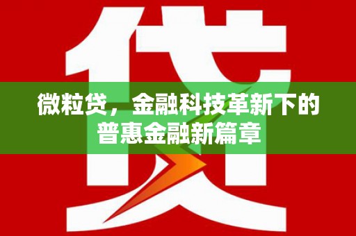 德江微粒贷，金融科技革新下的普惠金融新篇章