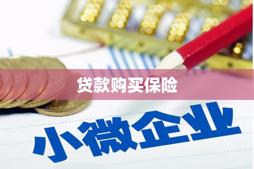 德江贷款购买保险