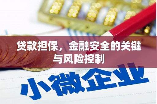 德江贷款担保，金融安全的关键与风险控制
