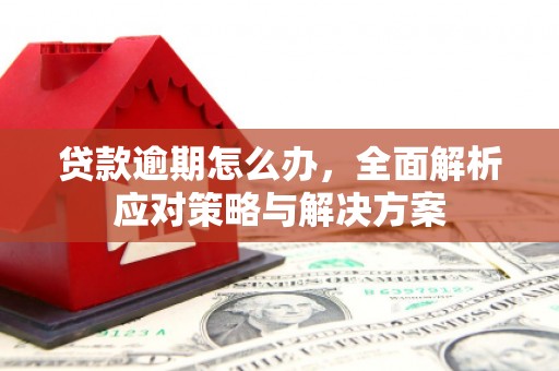德江贷款逾期怎么办，全面解析应对策略与解决方案