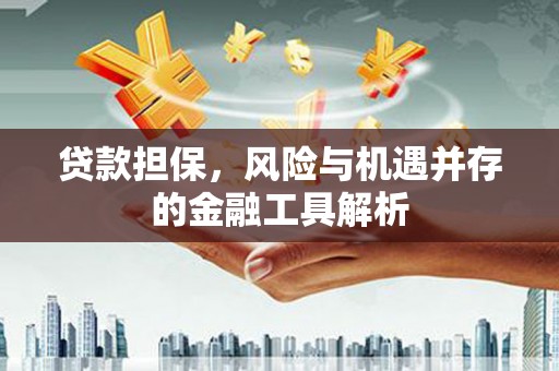 德江贷款担保，风险与机遇并存的金融工具解析